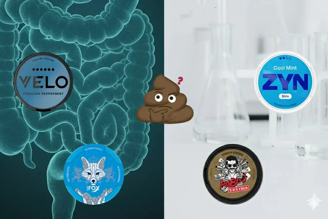 Do-ZYN-VELO-White-Fox-PABLO-Make-You-Poop-The-Science-Behind-Nicotine-Pouches-and-Digestion Snusi.net