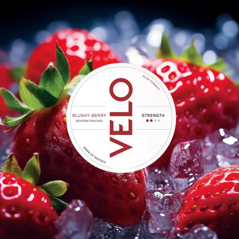 أكياس النيكوتين أو السويكة- snusi.net